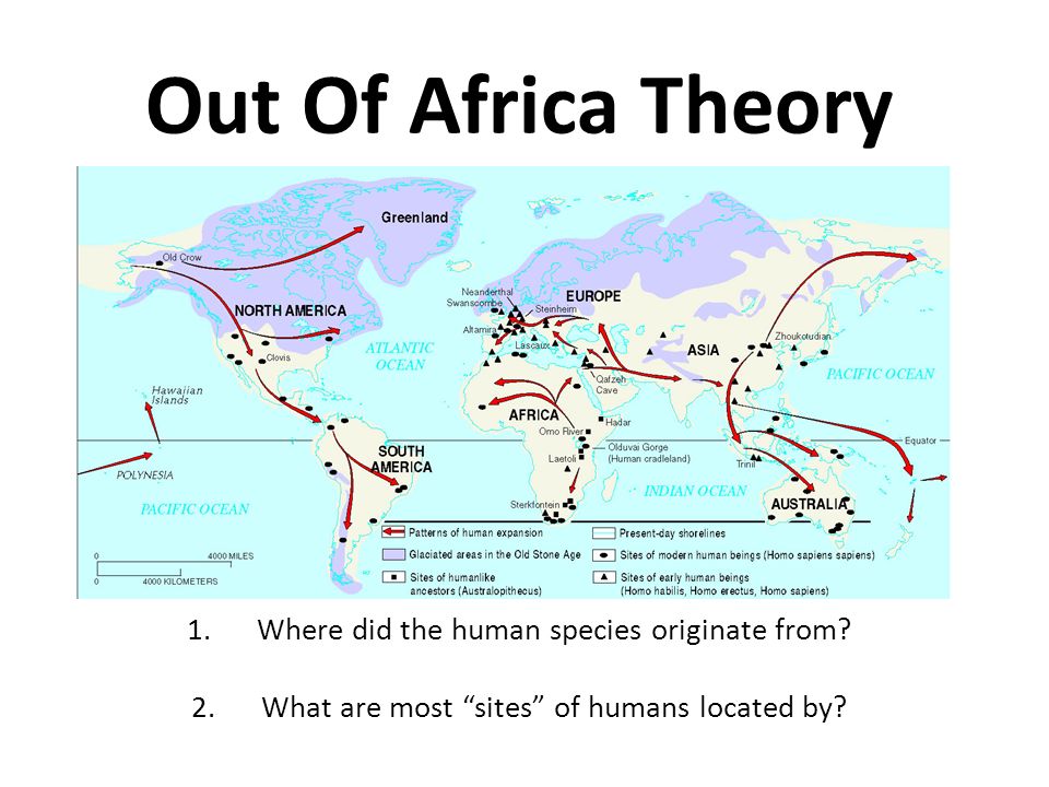 Explain debates about where humans originate
